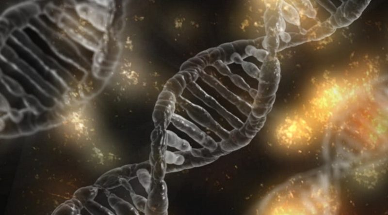 Gene Editing